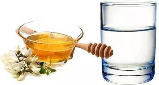 Read more about the article Water geven met honing. Voordeel voor de gezondheid !